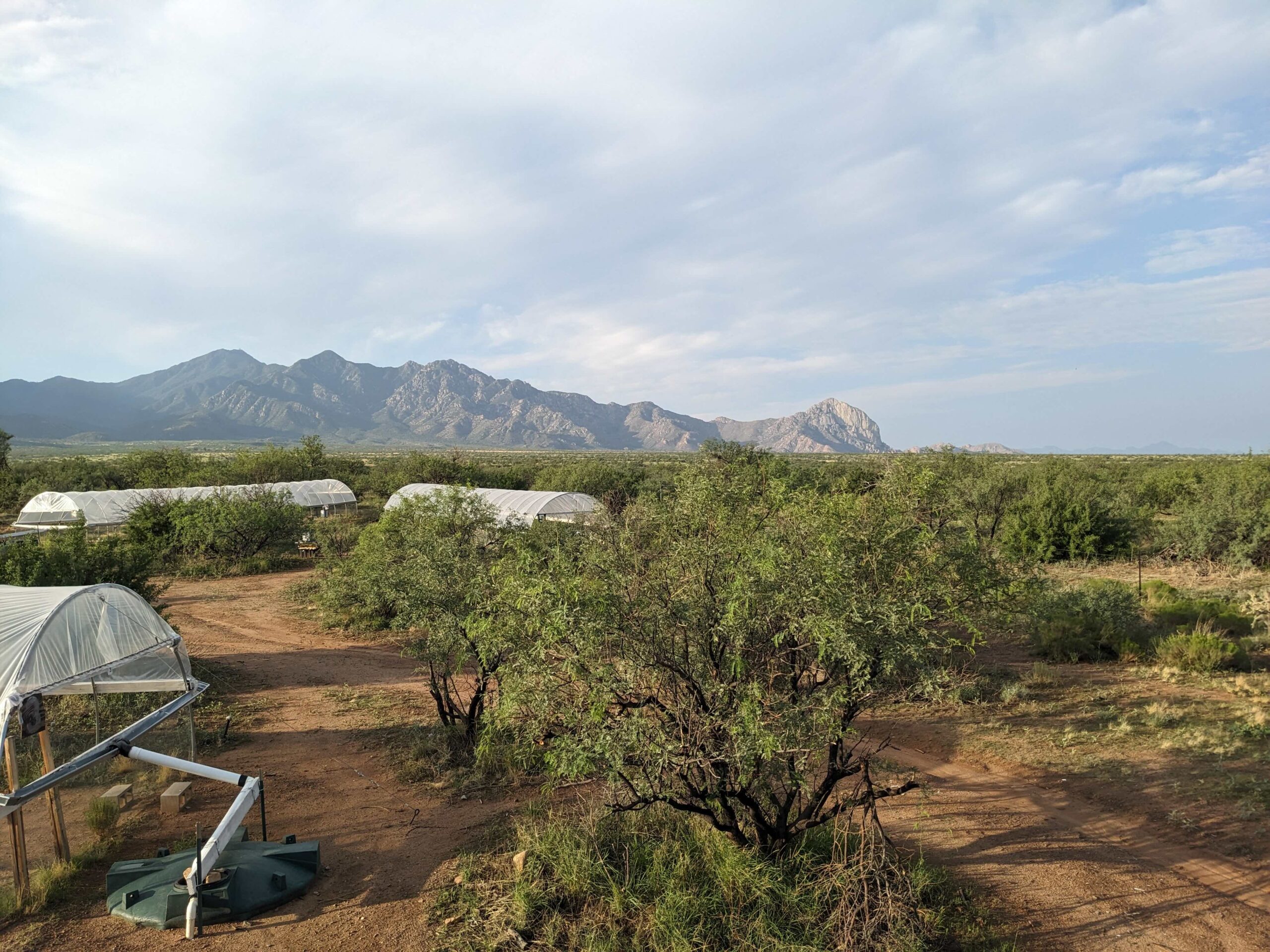 Gcash Playzone Login